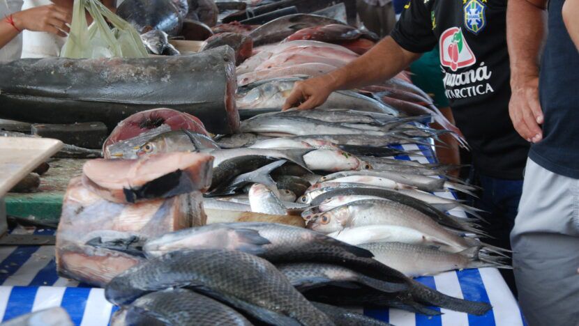 Casos confirmados de ciguatera chegam a 20 no RN em 2026